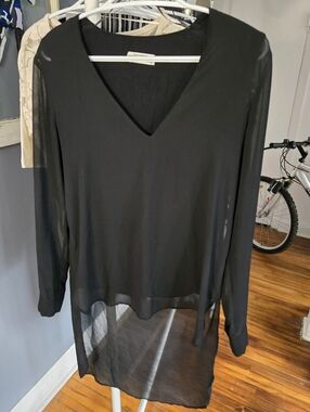 Zara Sheer Long Sleeve